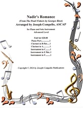 Nadir's Romance P.O.D cover
